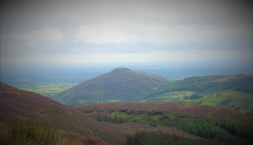 Slieve bloom deals