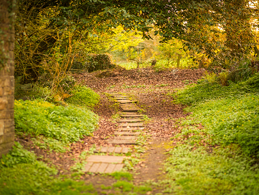 Path to Writer's Cottage