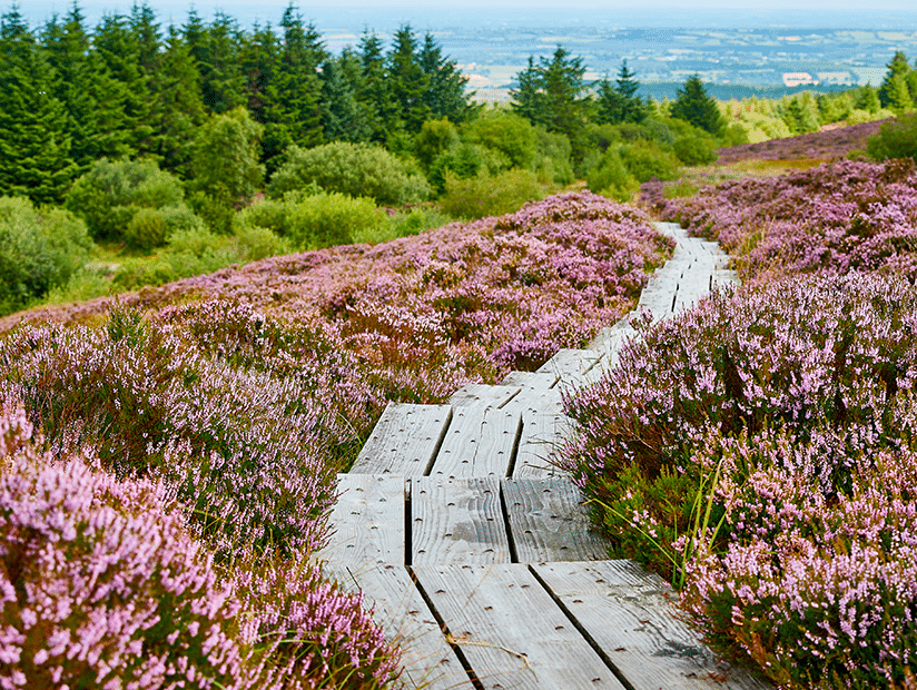 Walking in the Slieve Bloom Walking in the Slieve Bloom