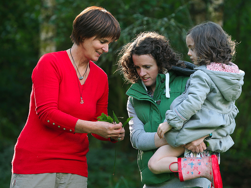 foraging foraging