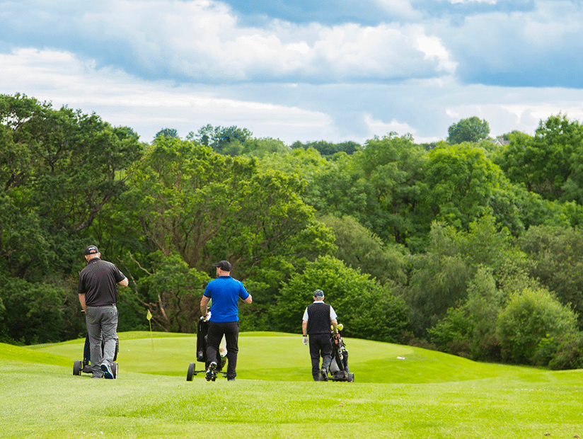 golfing golfing