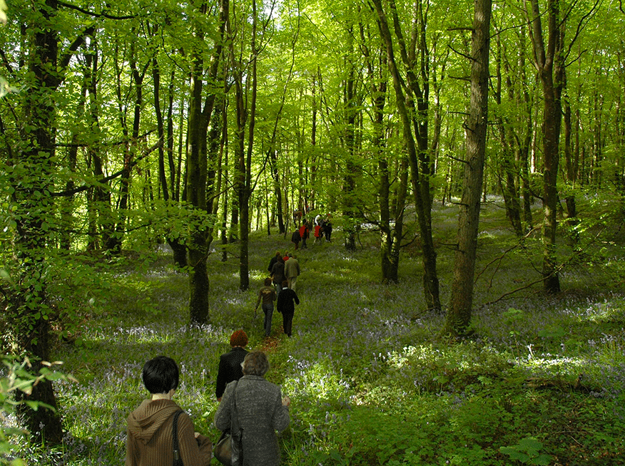 Slieve Bloom Box 3 Slieve Bloom Box 3