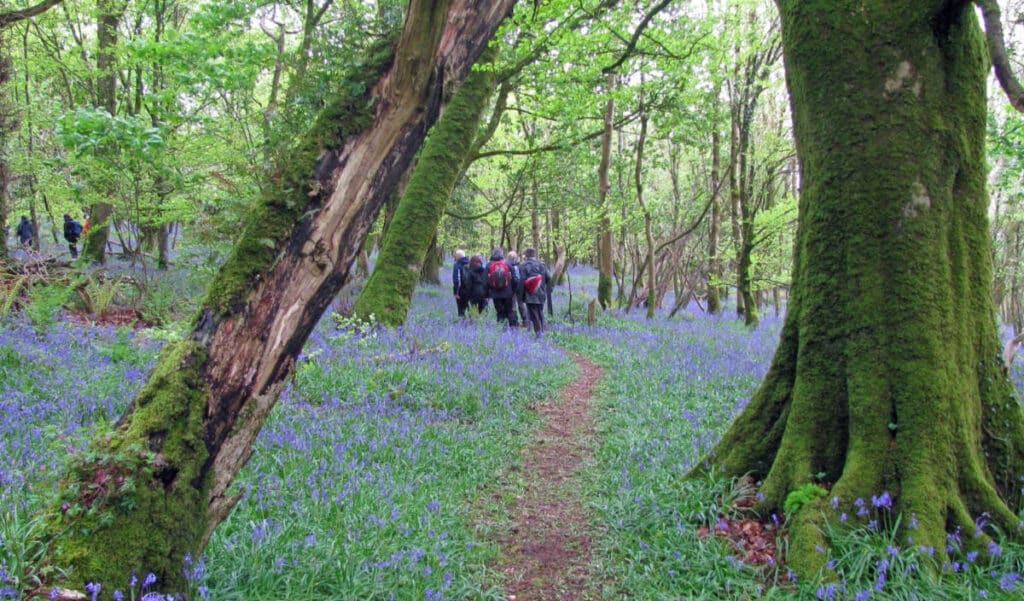 Slieve Bloom Walking Festival Slieve Bloom Walking Festival