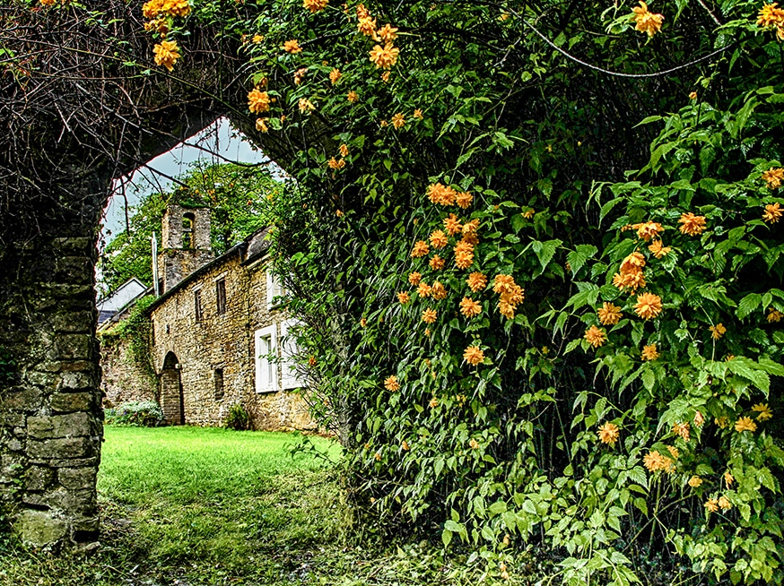 Roundwood Garden 14 Roundwood Garden archway