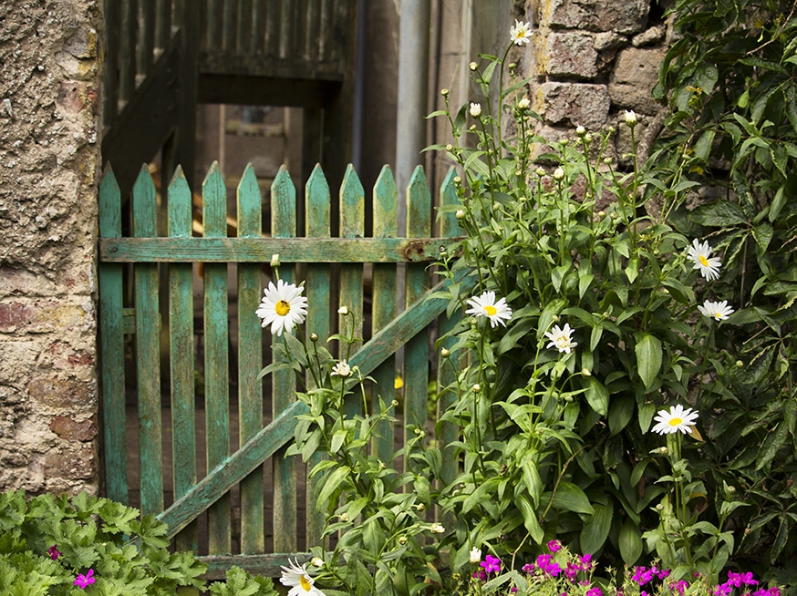 Roundwood Garden 9 Roundwood Garden gate & flowers