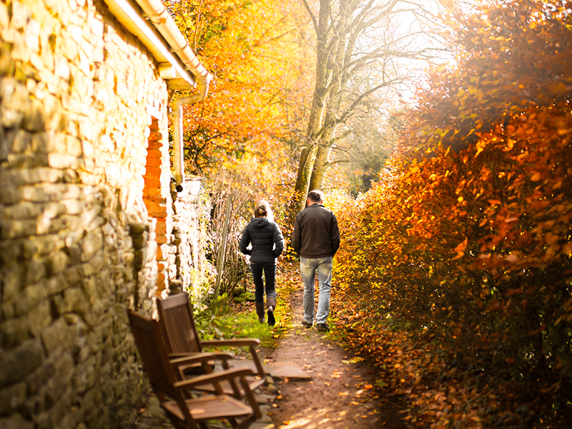 cottage walk