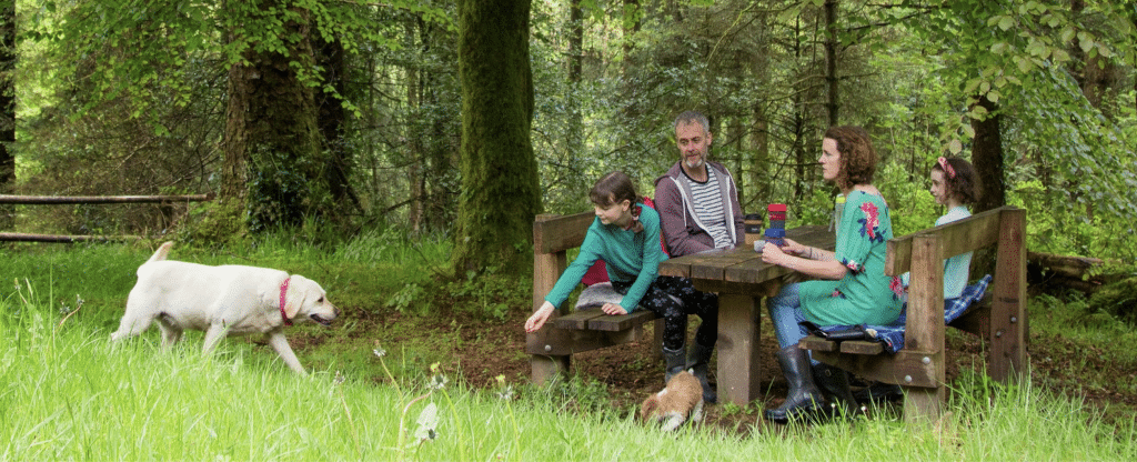 Roundwood House Country house accommodation bed and breakfast cottage rental laois Ireland