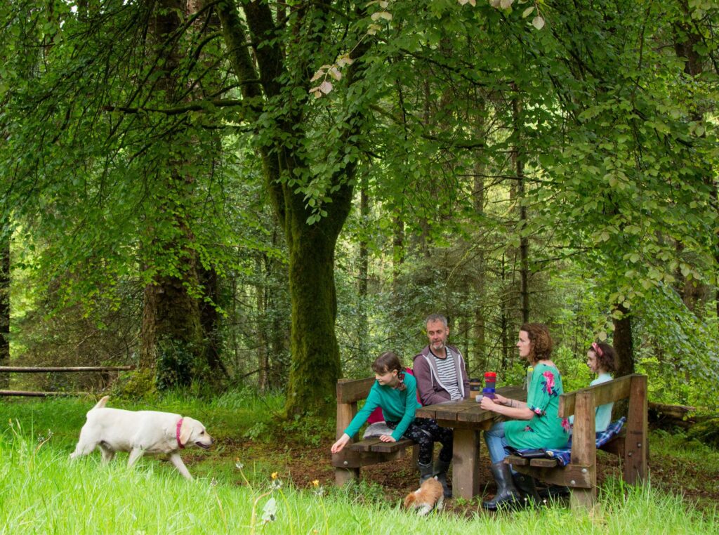 roundwood house blog 0002 Picnic in the Woods at Monicknew 2 roundwood house blog Picnic in the Woods at Monicknew 2